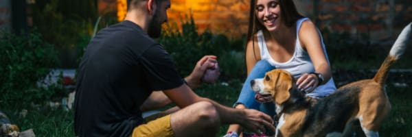 Summer Night Activities for You and Your Furry Best Friend