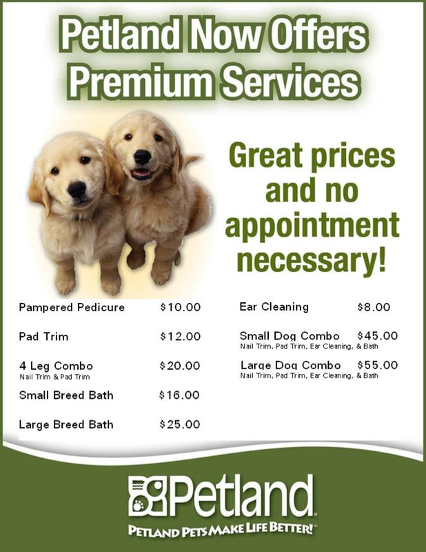 Pet Store Banner