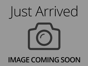 Bernese Mountain Dog-DOG-Female-BLK WHT TAN-30039-Petland Frisco & Mckinney, Texas