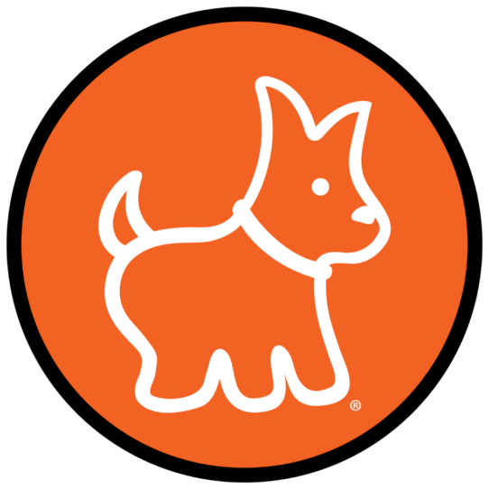 [#259-03] Red / White F Pembroke Welsh Corgi Puppies for Sale